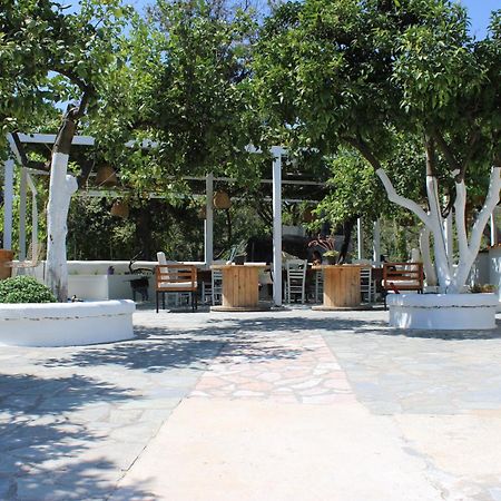 Villa Nouli Sarakiniko  Екстериор снимка